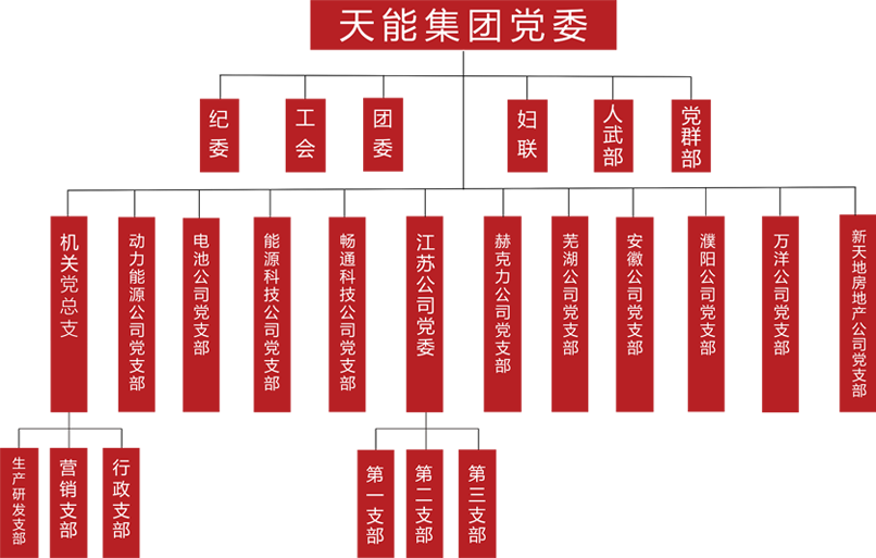 新金宝公司建团党委组织架构